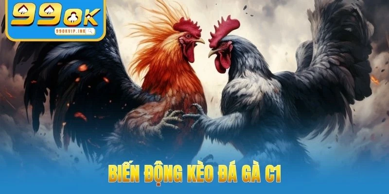 Biến động kèo đá Gà C1