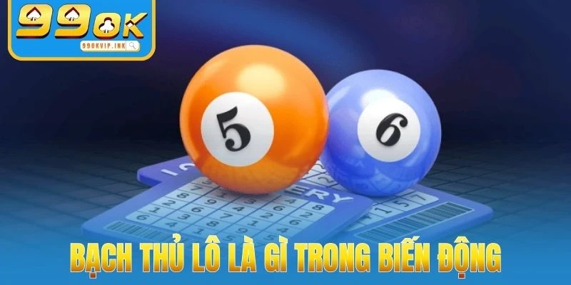 Biến động trong bạch thủ lô là gì