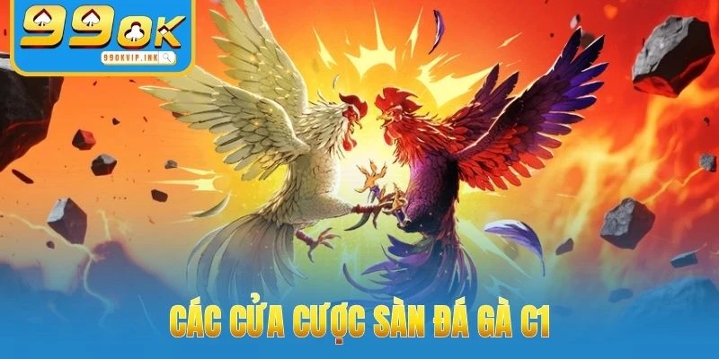 Các cửa cược sàn đá Gà C1