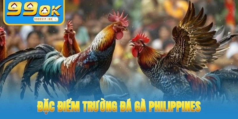 Đặc điểm trường đá gà Philippines
