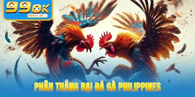 Kết quả phân định thắng thua trong đá gà Philippines