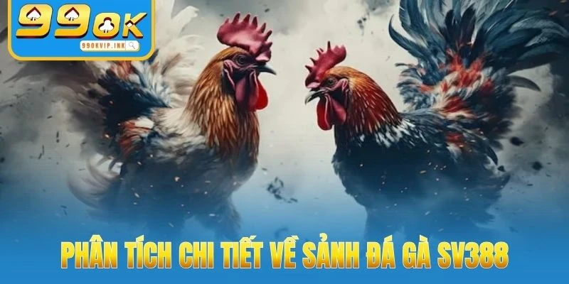Phân tích chi tiết về Sảnh Đá Gà SV388