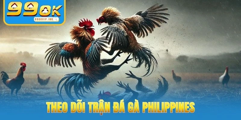 Theo dõi trận đá gà Philippines